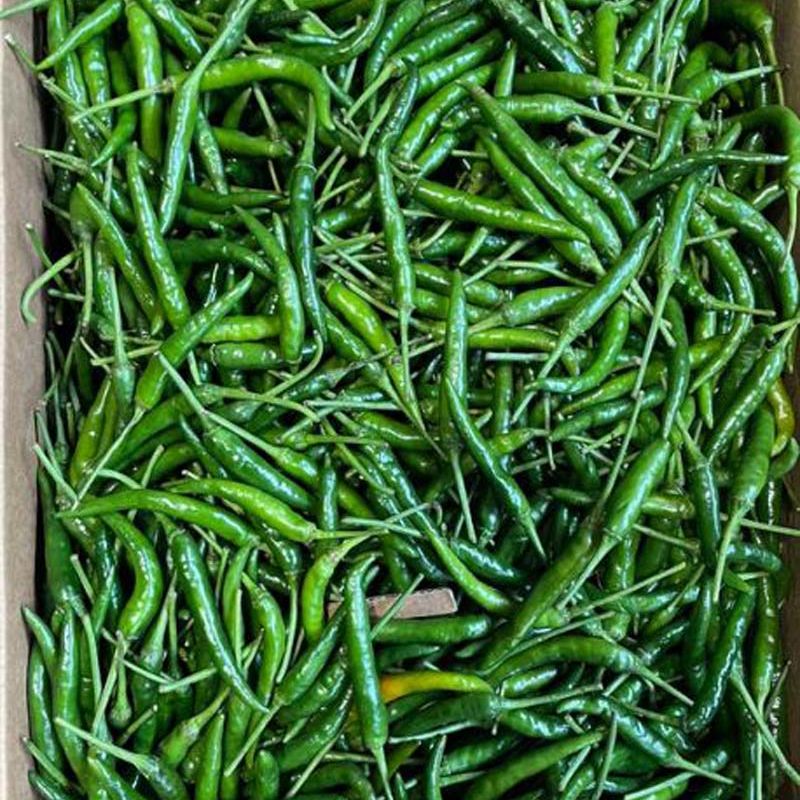 Fresh Green Chilli