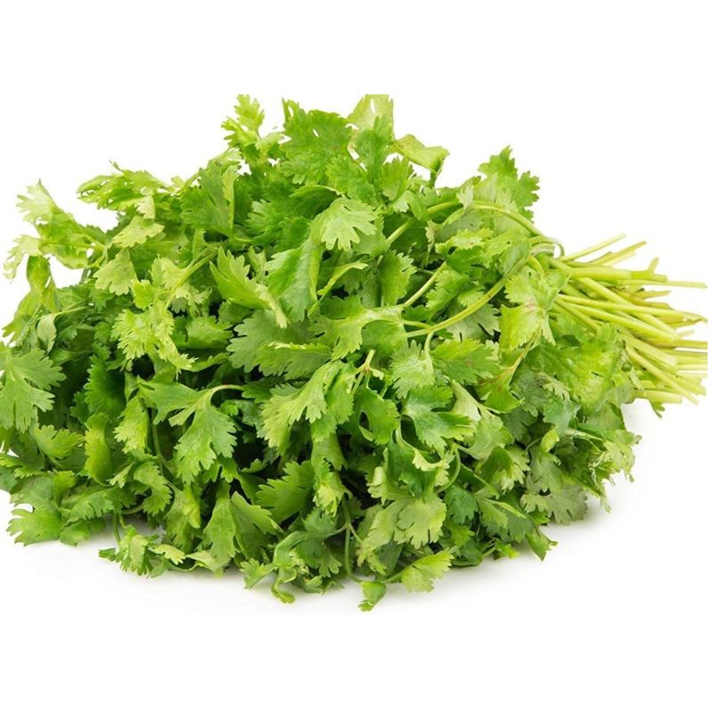 Natural Coriander Leaves